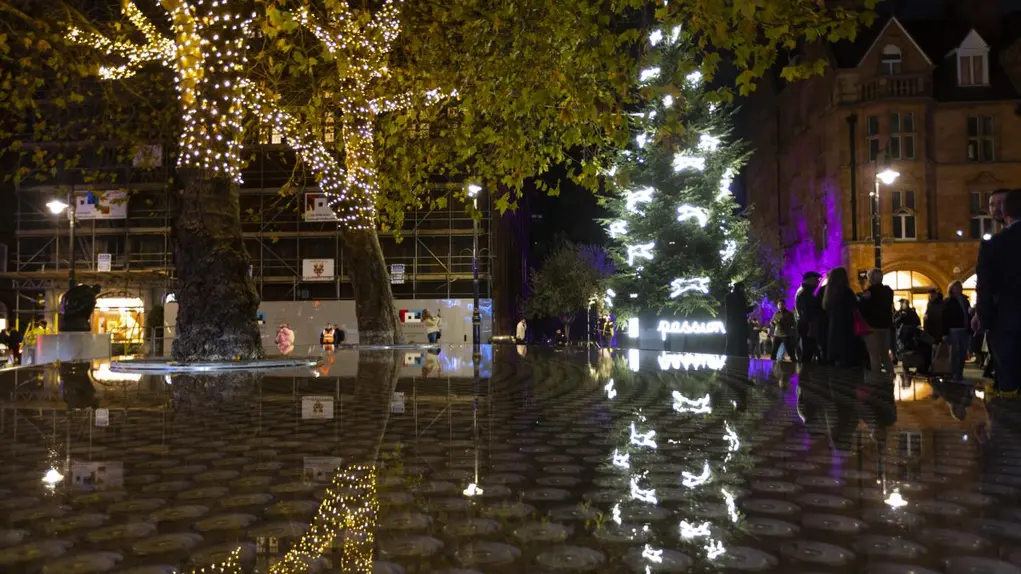 Christmas Trees in Mayfair