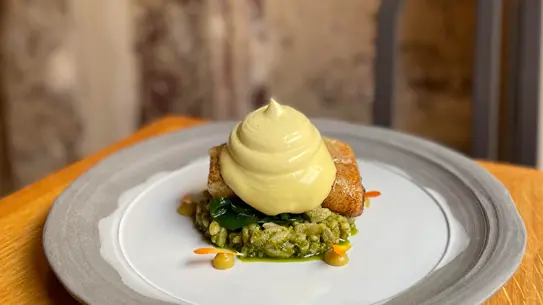 Apricity meal on a plate