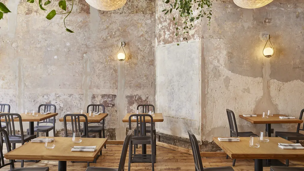 Interior of Apricity with plain walls, tables and chairs and greenery hanging off the ceiling