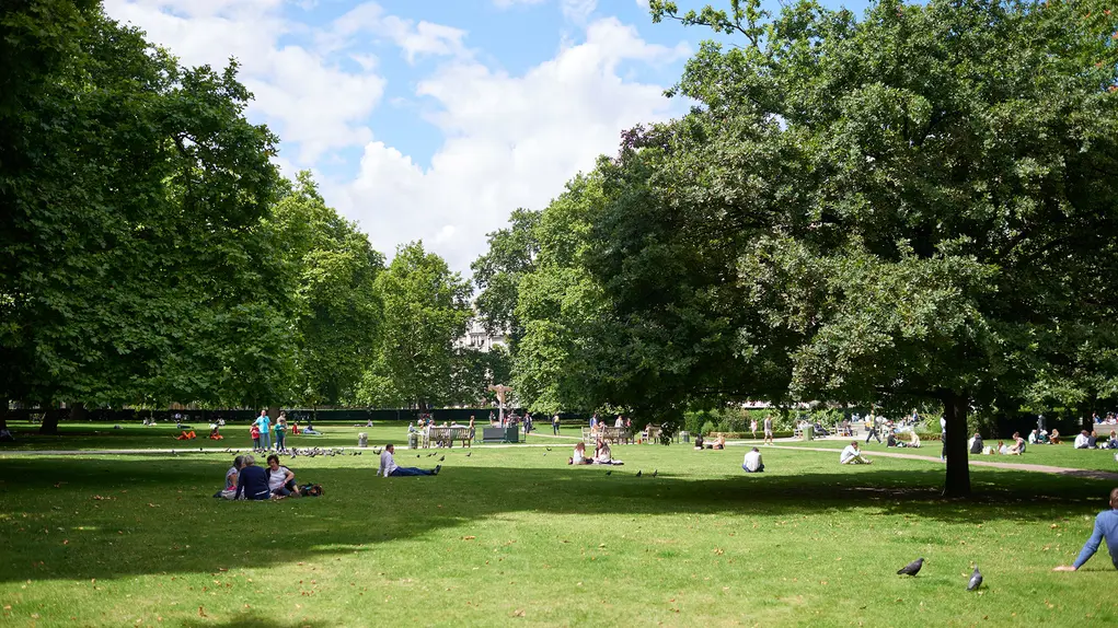A park with grass and trees