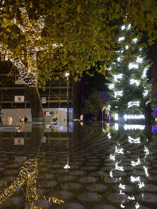 Christmas Trees in Mayfair