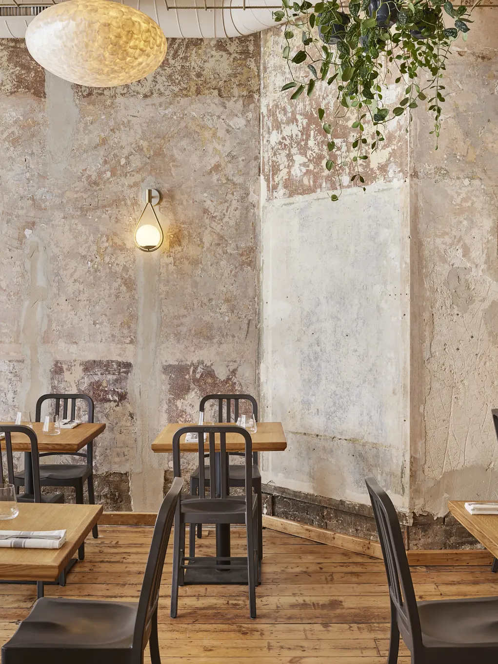 Interior of Apricity with plain walls, tables and chairs and greenery hanging off the ceiling