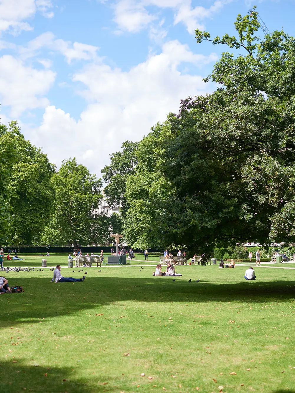 A park with grass and trees