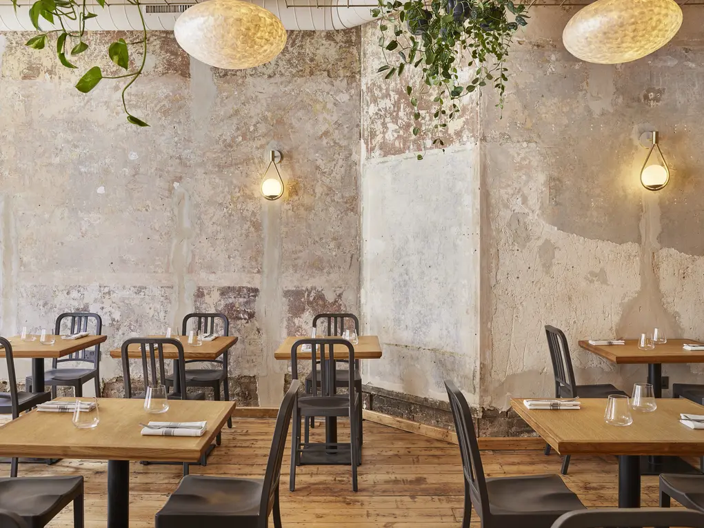 Interior of Apricity with plain walls, tables and chairs and greenery hanging off the ceiling