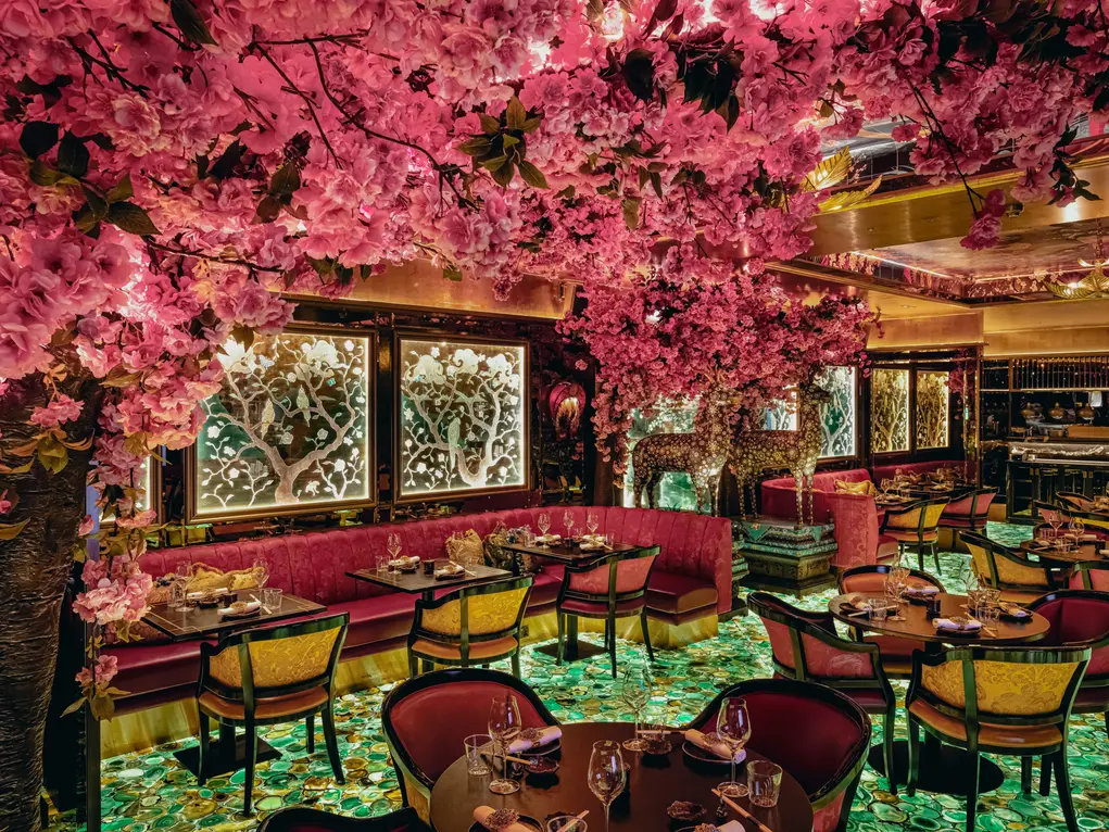 IVY ASIA MAYFAIR