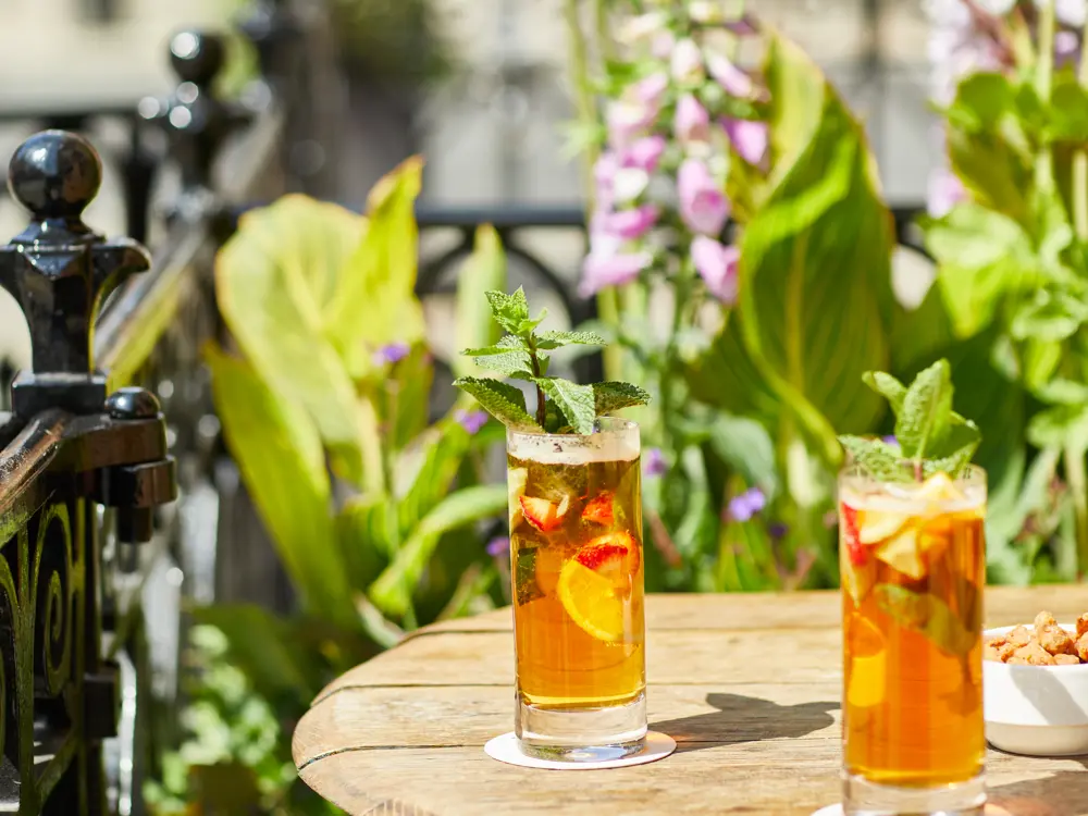 Two glasses of Pimm's